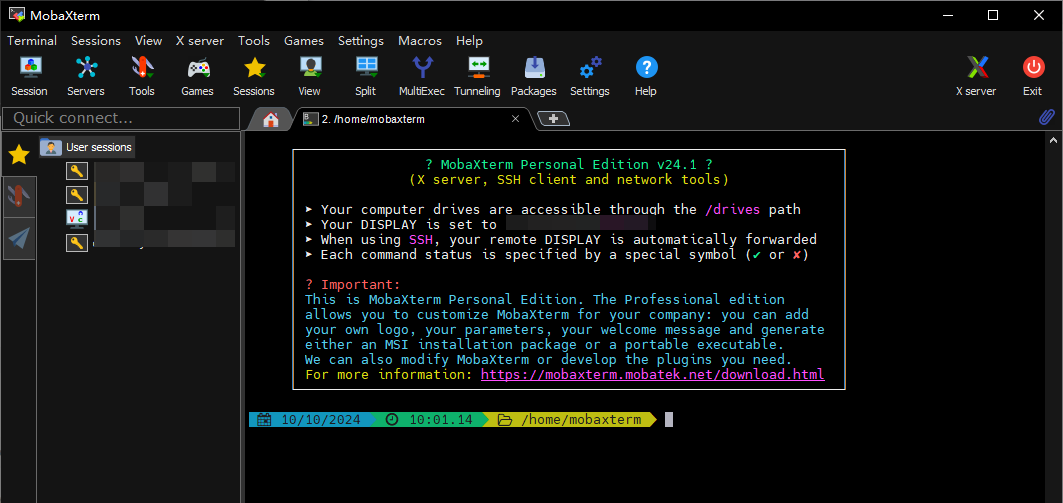 image-20241010101204976