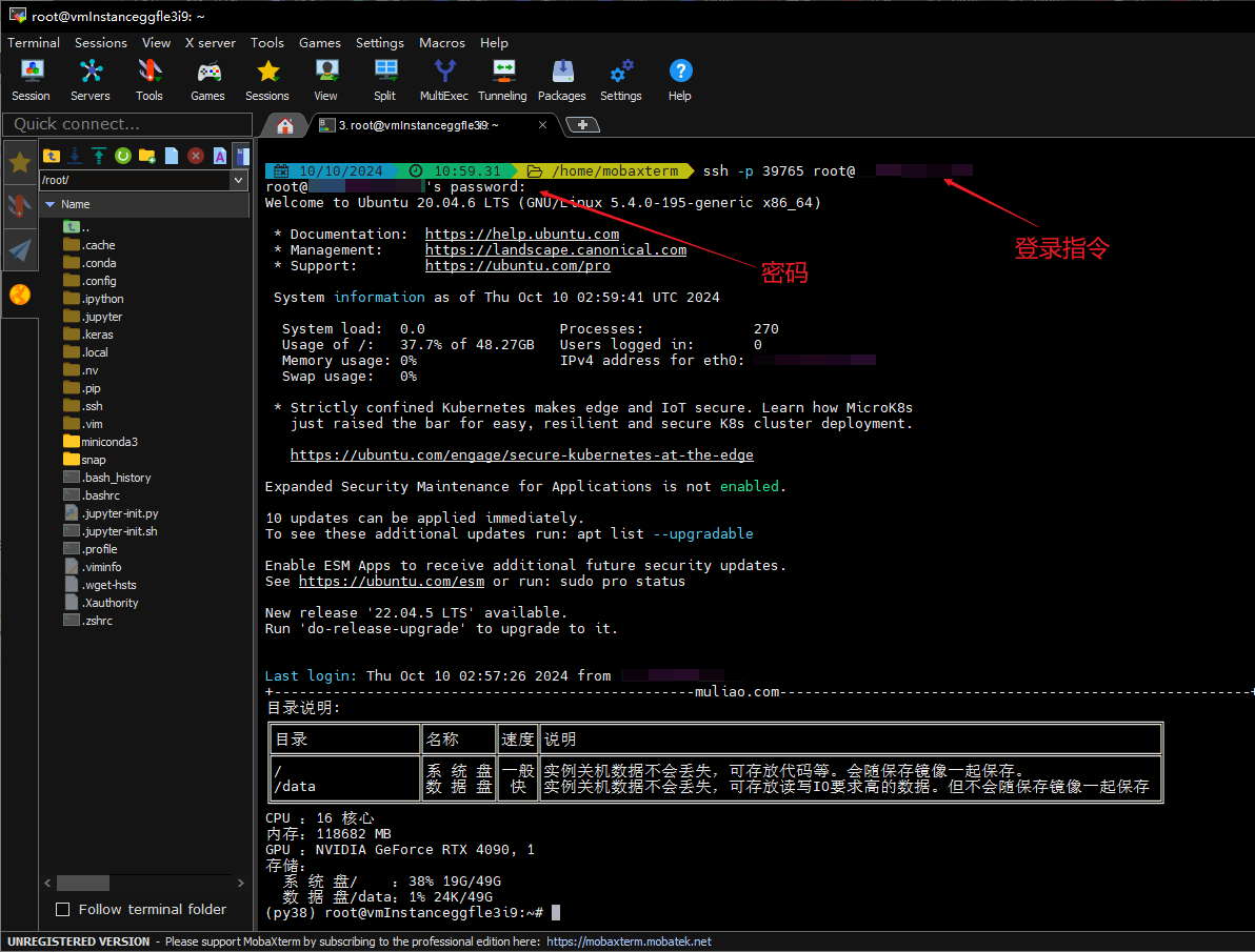 image-20241010110228590