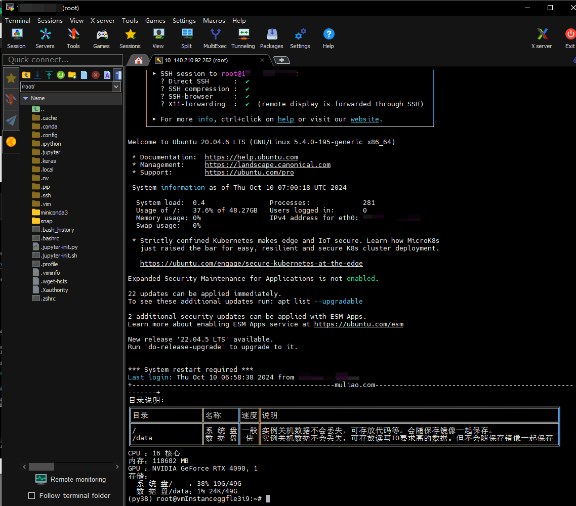 image-20241010150327263